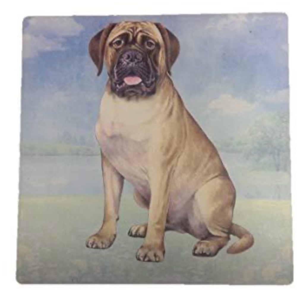 BULLMASTIFF COASTERS SET